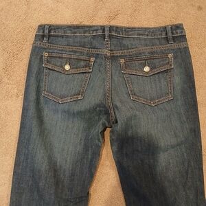 Banana Republic Bootcut